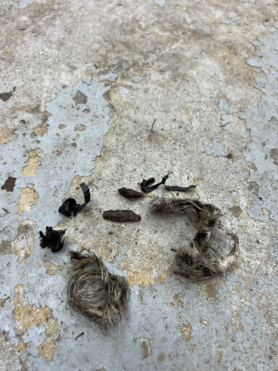 Andre Holt tweet media