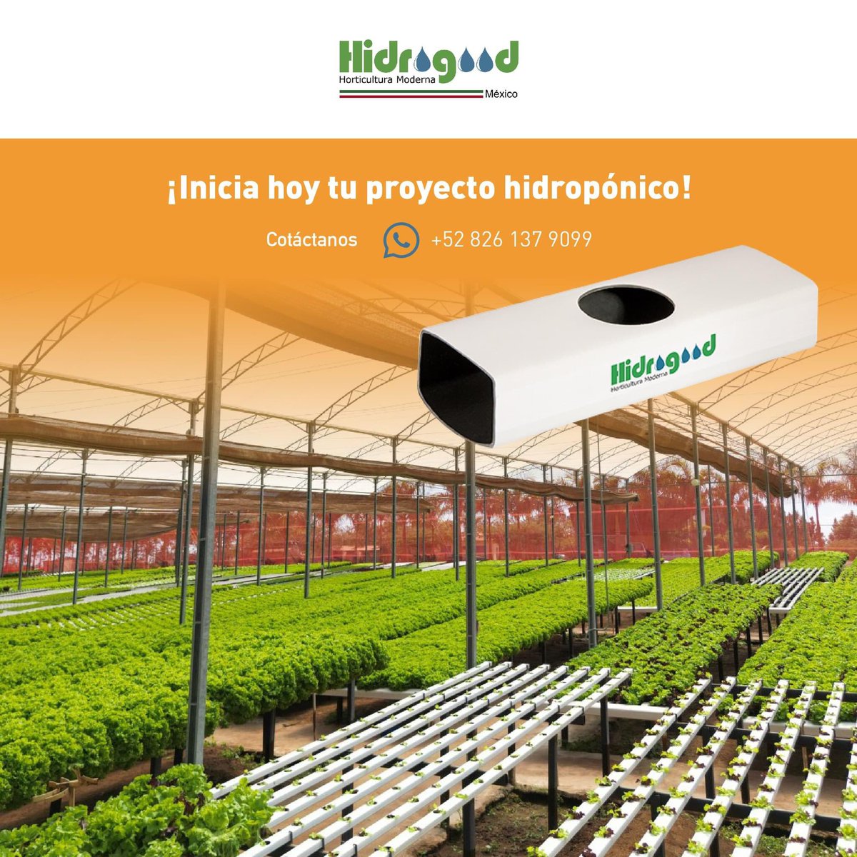 El conocimiento del clima y sobre todo del microclima es fundamental para obtener respuestas positivas en el cultivo de plantas medicinales y condimentarias en sistema hidropónico.
Síguenos en nuestras redes, nosotros te informamos.+52 826 137 9099