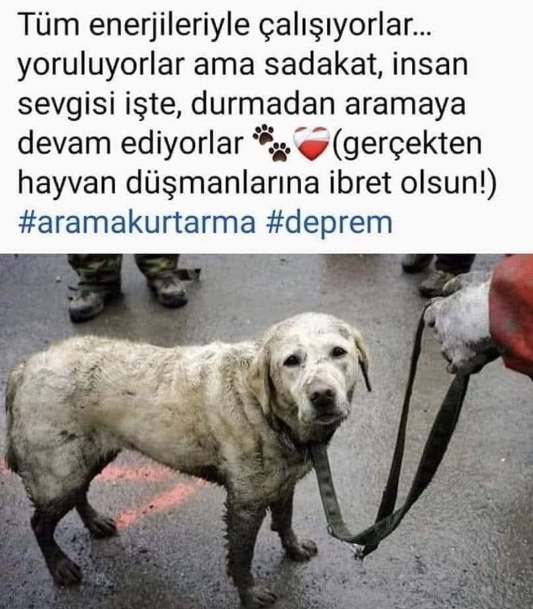 İmkan verme zalimlere,canlar senin Allah’ım