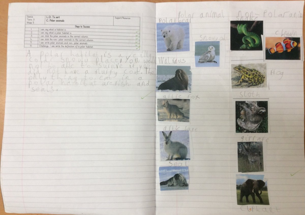 Year2Beck tweet media