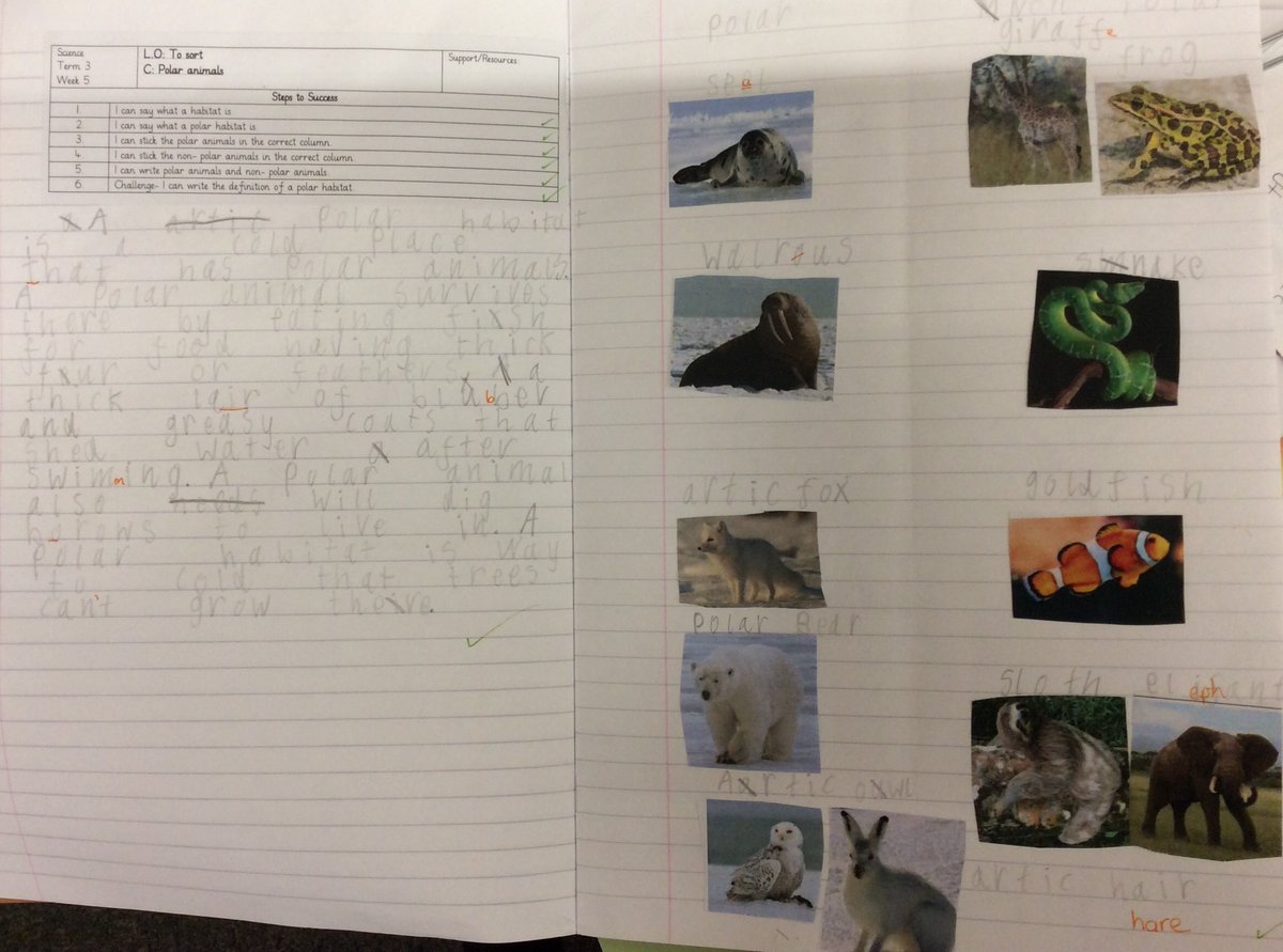 Year2Beck tweet media