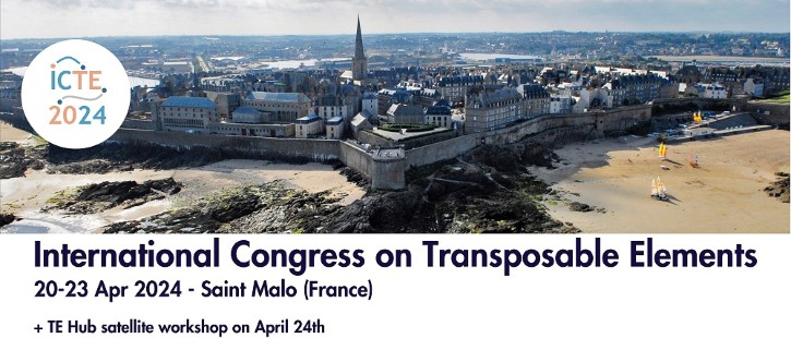Please RT! The abstract submission deadline for the 2024 International Congress on Transposable Elements in Saint-Malo is on February 15! #transposon icte2024.sciencesconf.org