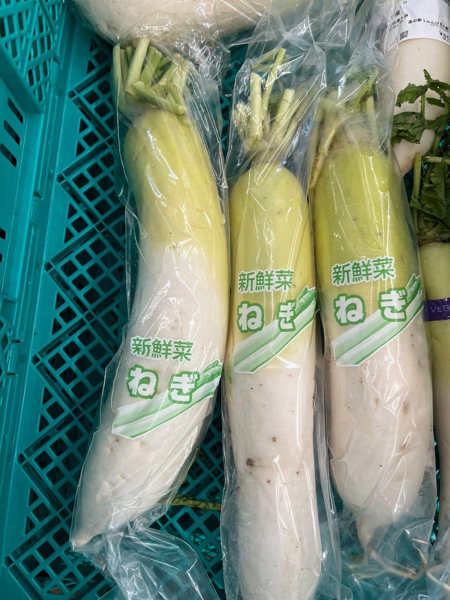 嘘つくなよwwww