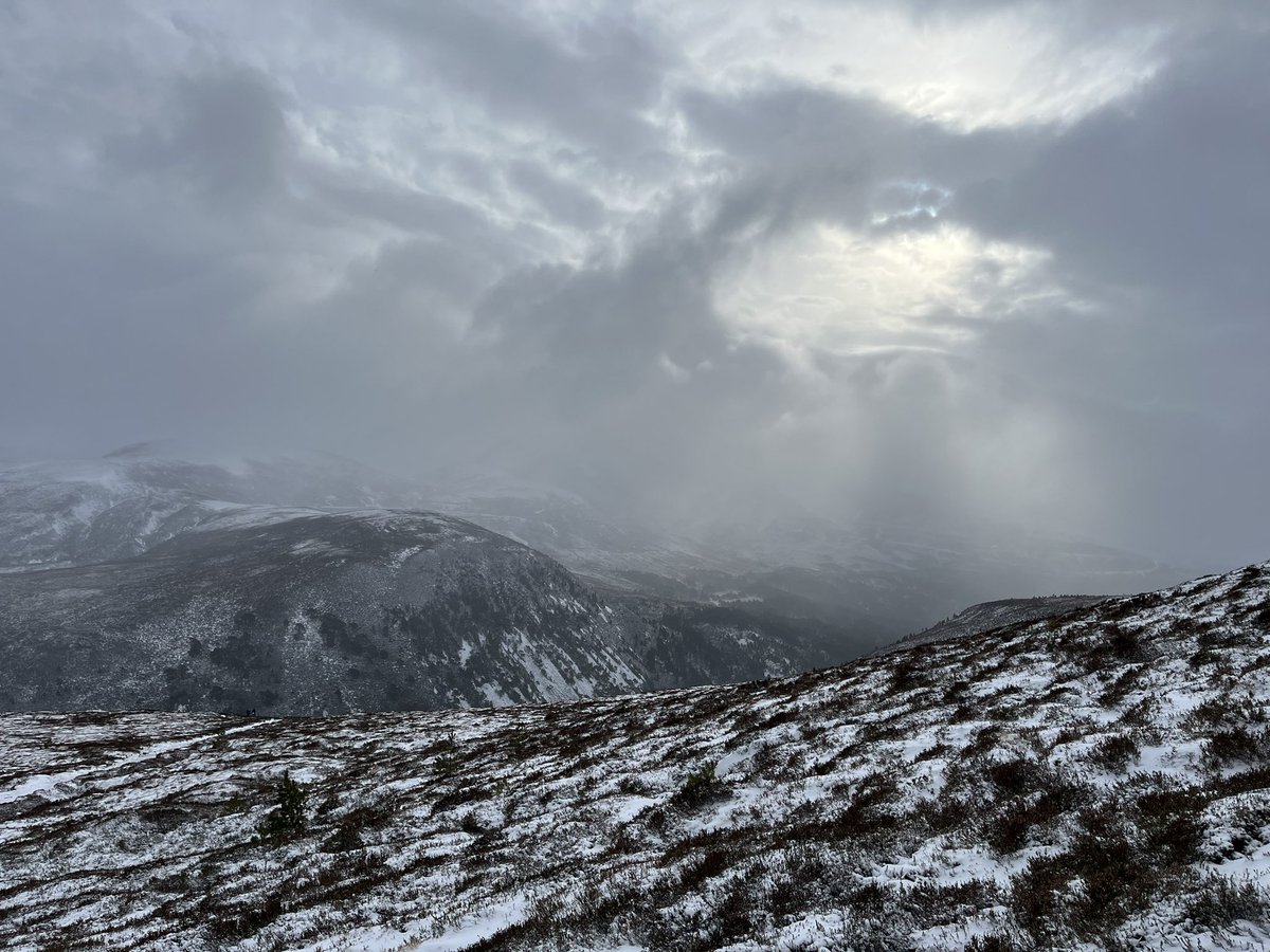 mountainsonbogs's tweet photo. Meall a' Bhuachaille today - significant wind speeds at the top https://t.co/k0HGbn1x6r