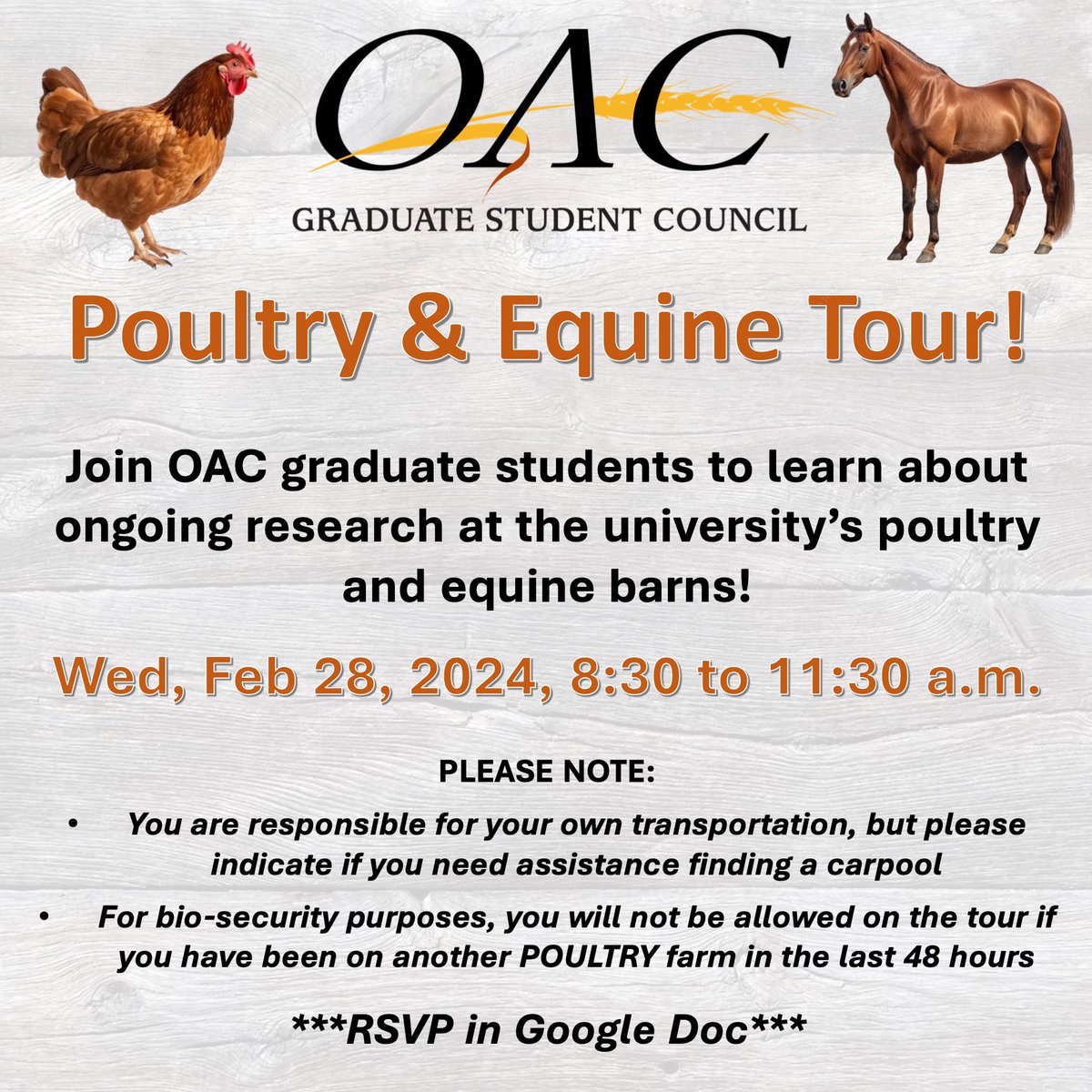 OACGrads's tweet photo. 🐓 POULTRY &amp; EQUINE TOUR 🐎 Join the OAC GSC to learn about ongoing research at the university’s poultry and equine barns on Feb. 28th from 8:30 to 11:30 a.m. Please RSVP in the Google Doc - there are limited spots available! 🐔🐥🐴

https://t.co/iP06tyyUMc https://t.co/EPiBRbKYp7