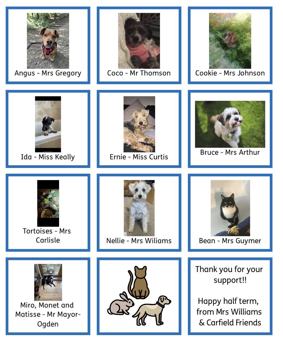 Well done to everyone who took part in Teachers Pets! Together, you helped to raise over £190! 👏

Here are the answers. Did anyone get them all right??