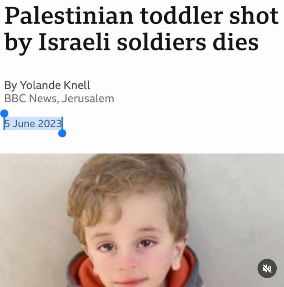 albertmarira's tweet image. 