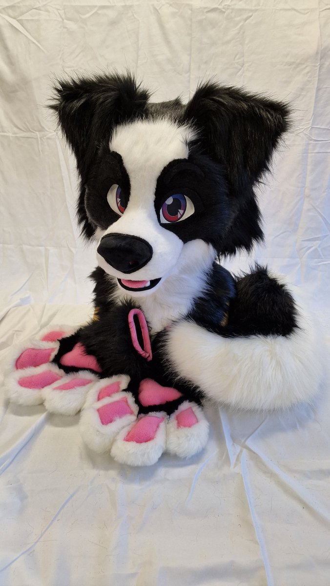 Kloofsuits's tweet photo. AUCTION LINK BELOW 👇👇👇 https://t.co/q5miBA2gd1