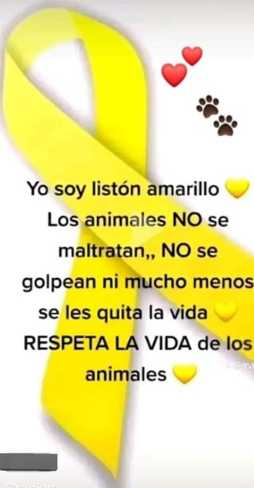 ¿Quién más es listón amarillo?