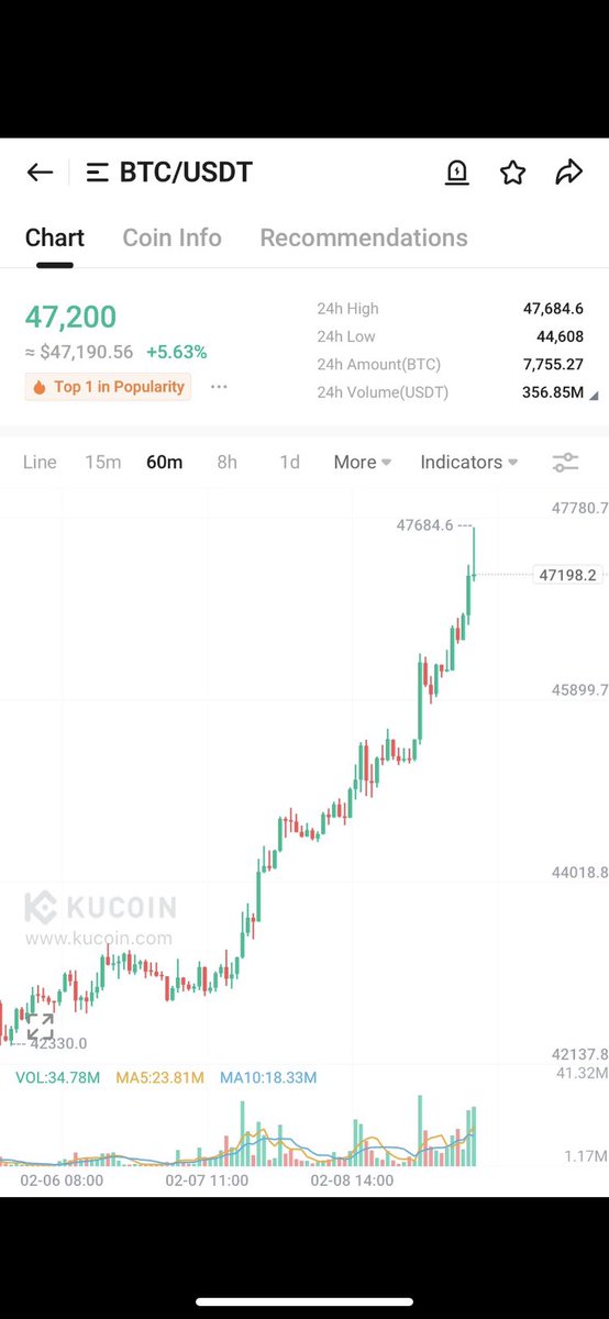 When someone asks me what truly makes me happy...

This view😍💹🔥🚀 #BITCOIN