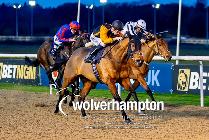 #AWChamps action at @WolvesRaces on Saturday night! ⭐️@Horsewatchers1's INTERVENTION looks to get back to winning ways. ⭐️@ScottPJDixon's ONE NIGHT STAND back at Wolves after @LingfieldPark success. Read more 👇awchampionships.co.uk/news/champions…