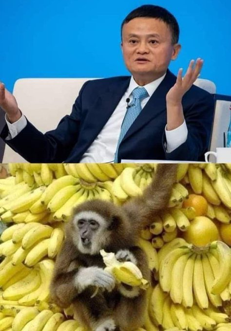 DominioDinero's tweet image. El hombre más rico de China dijo: "Si pones plátanos y dinero delante de los monos, los monos elegirán los plátanos porque los monos no saben que el dinero puede comprar muchos plátanos. 

De hecho, si ofreces TRABAJO y NEGOCIO a la gente, elegirán TRABAJO porque la mayoría de la…