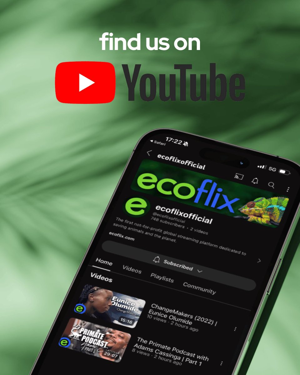 📣 BIG NEWS! We have relaunched our YouTube channel! With exciting new releases each week on our YouTube channel, you can get a great taster of what’s happening over on Ecoflix. 📱 youtube.com/@ecoflixoffici…