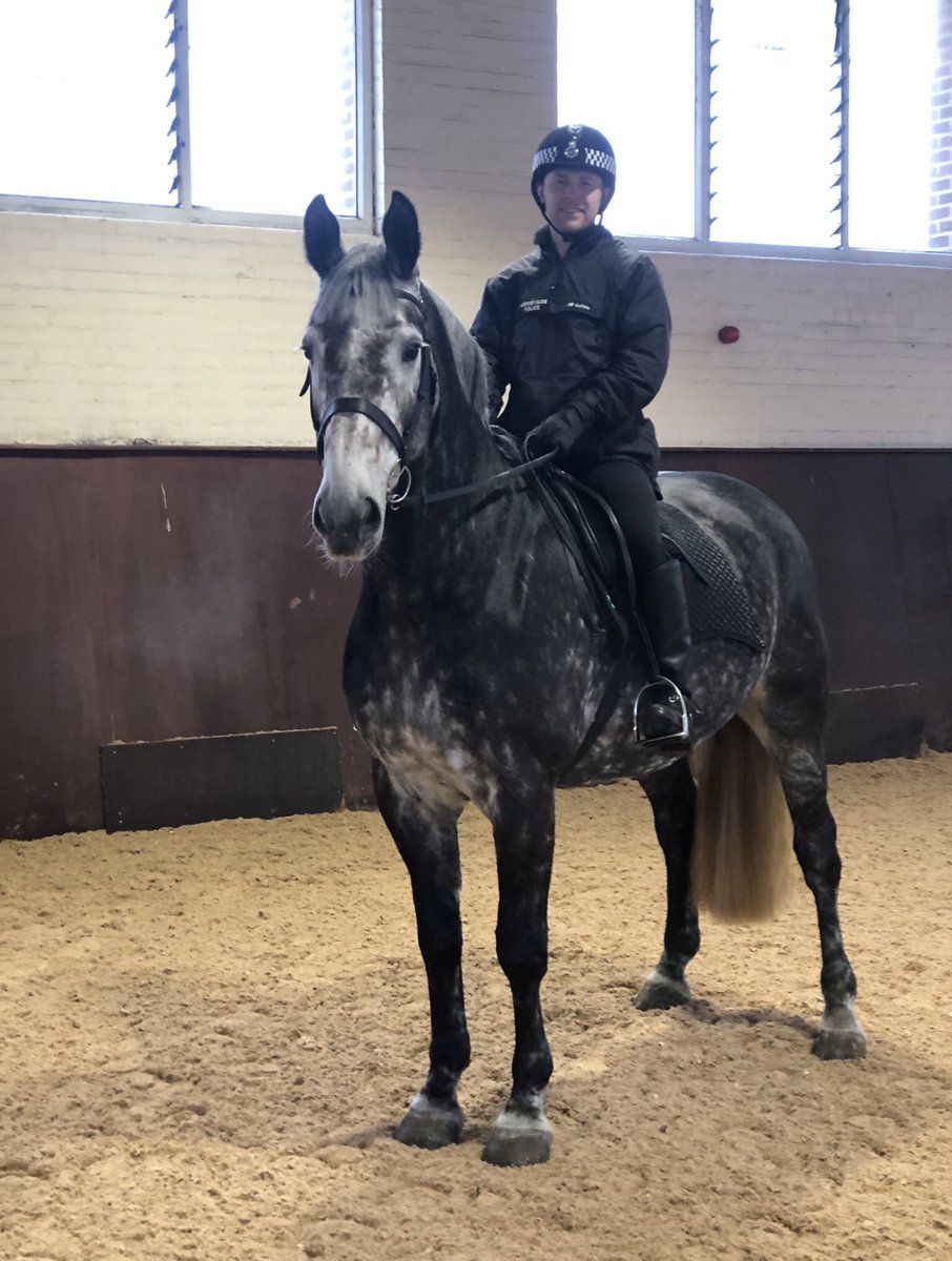 Today we said our goodbyes &amp; good luck to <a href="/merseymountedpc/">Mersey Mounted PC</a>!
Next month he will be moving to Australia with his family to start a new adventure.
We are gutted to see him go but it’s been a pleasure to work with him the last 4.5 years!  
We will miss you!
#StandTall #MountedFamily