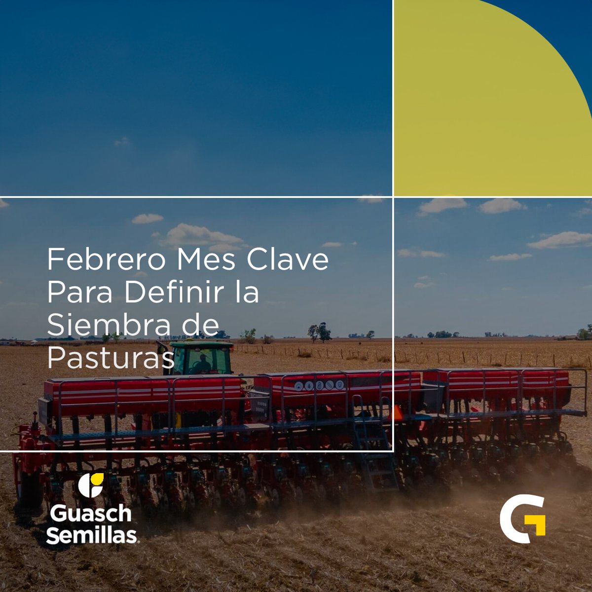 GuaschComAr's tweet photo. 🌱 ¡Febrero, mes clave para definir la siembra de pasturas! Se acerca el momento ideal para planificar tu próxima campaña de manera productiva. 💚

🔗 Te invitamos a visitar nuestro sitio web https://t.co/XEXhngnPxE

#GuaschSemillas #SembrarCalidadEsAsegurarFuturo #Guasch https://t.co/lE0wzW1LrP