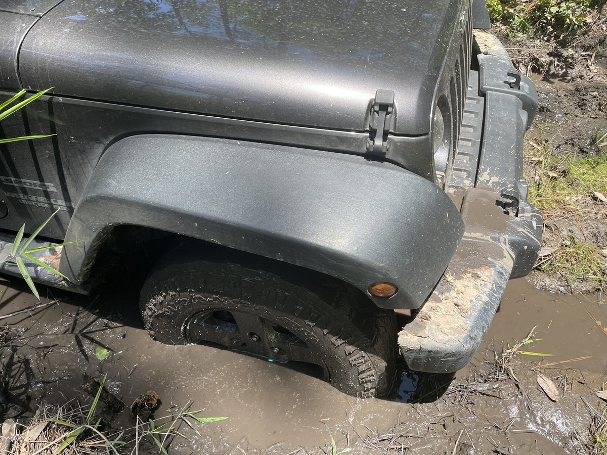 Looking forward to sharing tales from my Wild Florida #book - including trials and tribulations like this muddy day in the Panhandle - at Dancing Elephant Bookstore in Lake Worth #Florida 5-7pm Saturday (2/10).