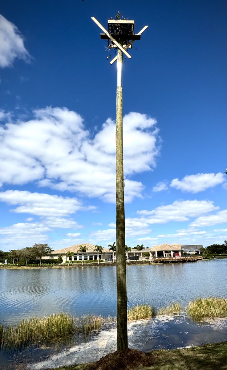 New Osprey nest installed today! Thank you ⁦<a href="/NativeBirdBoxes/">Native Bird Boxes</a>⁩ 💪