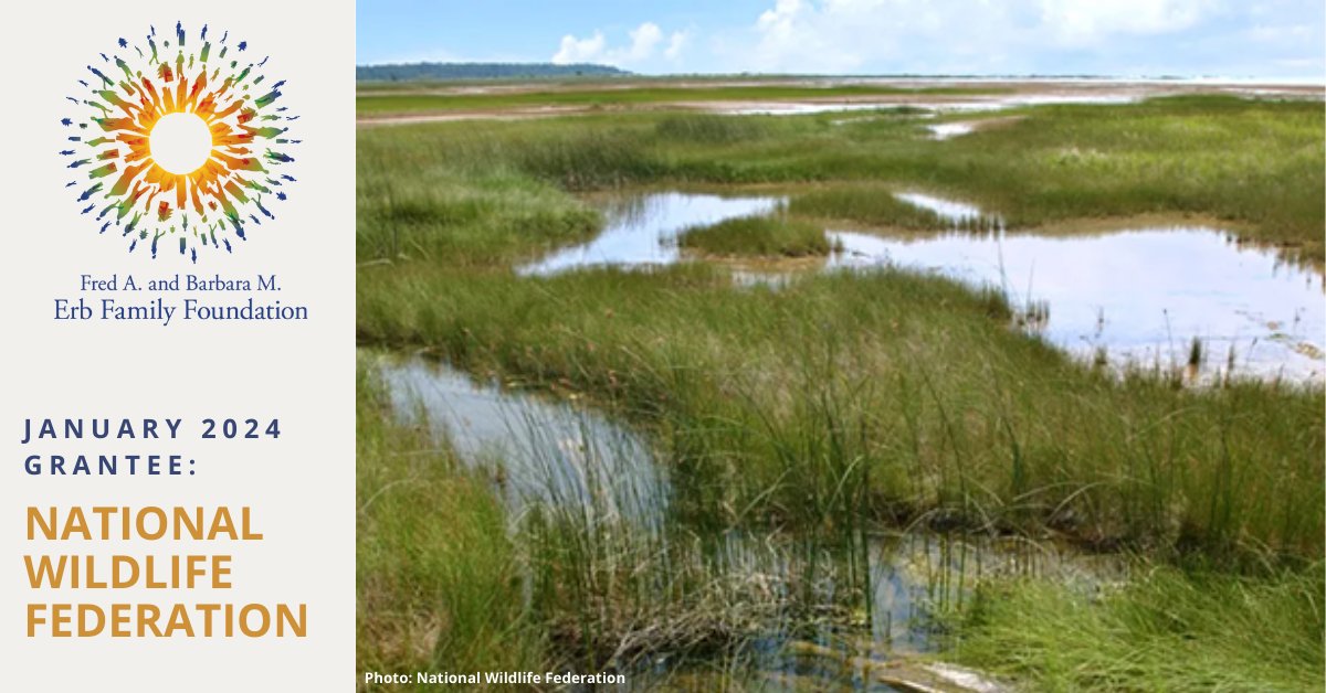 ErbFamilyFdn's tweet photo. @NWF continues to receive support from the Erb Family Foundation to Great Lakes restoration and coalition building around public policy. @Nlichten Learn more about our complete grants list here: https://t.co/TCGD9WdEau. https://t.co/iVl9I9WdqR