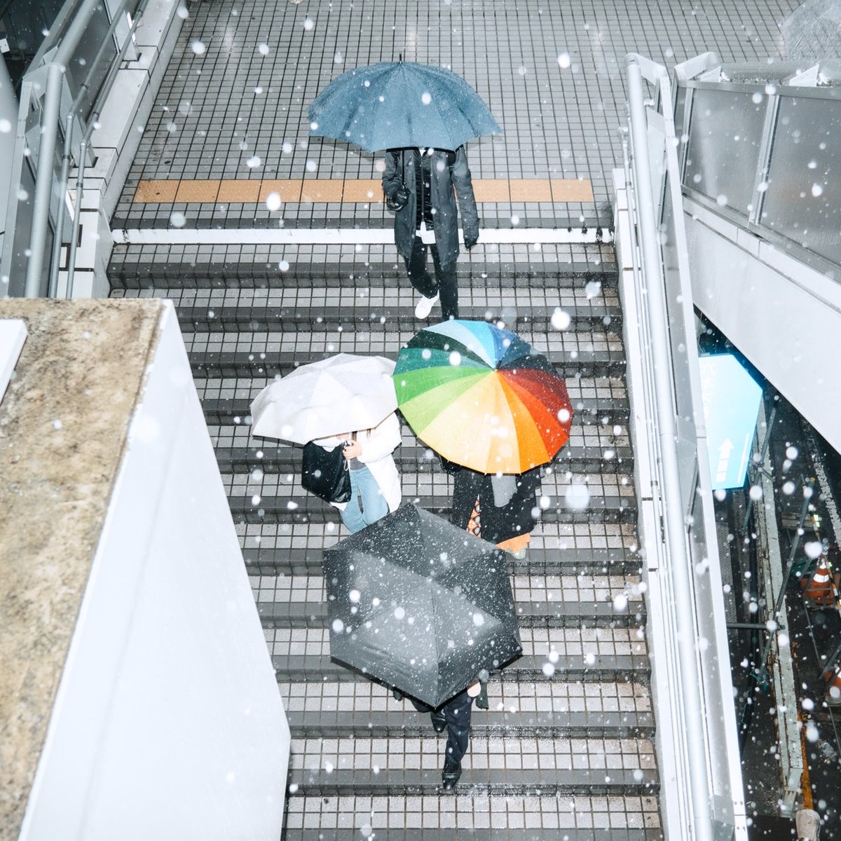 yu_iwakura_'s tweet photo. snow
Tokyo / 東京 https://t.co/NzO7jW2lrV