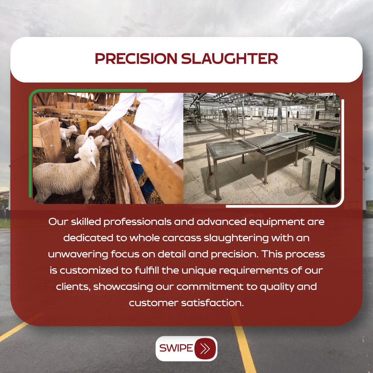 unionmeatgroup's tweet image. Discover precision and compassion in every cut with Union Meat Group's Slaughtering Services. Our expert team employs species-specific techniques for beef, lamb, and cattle, ensuring each slaughter meets our rigorous standards for quality and care. #UnionMeatGroup #UnionMeat