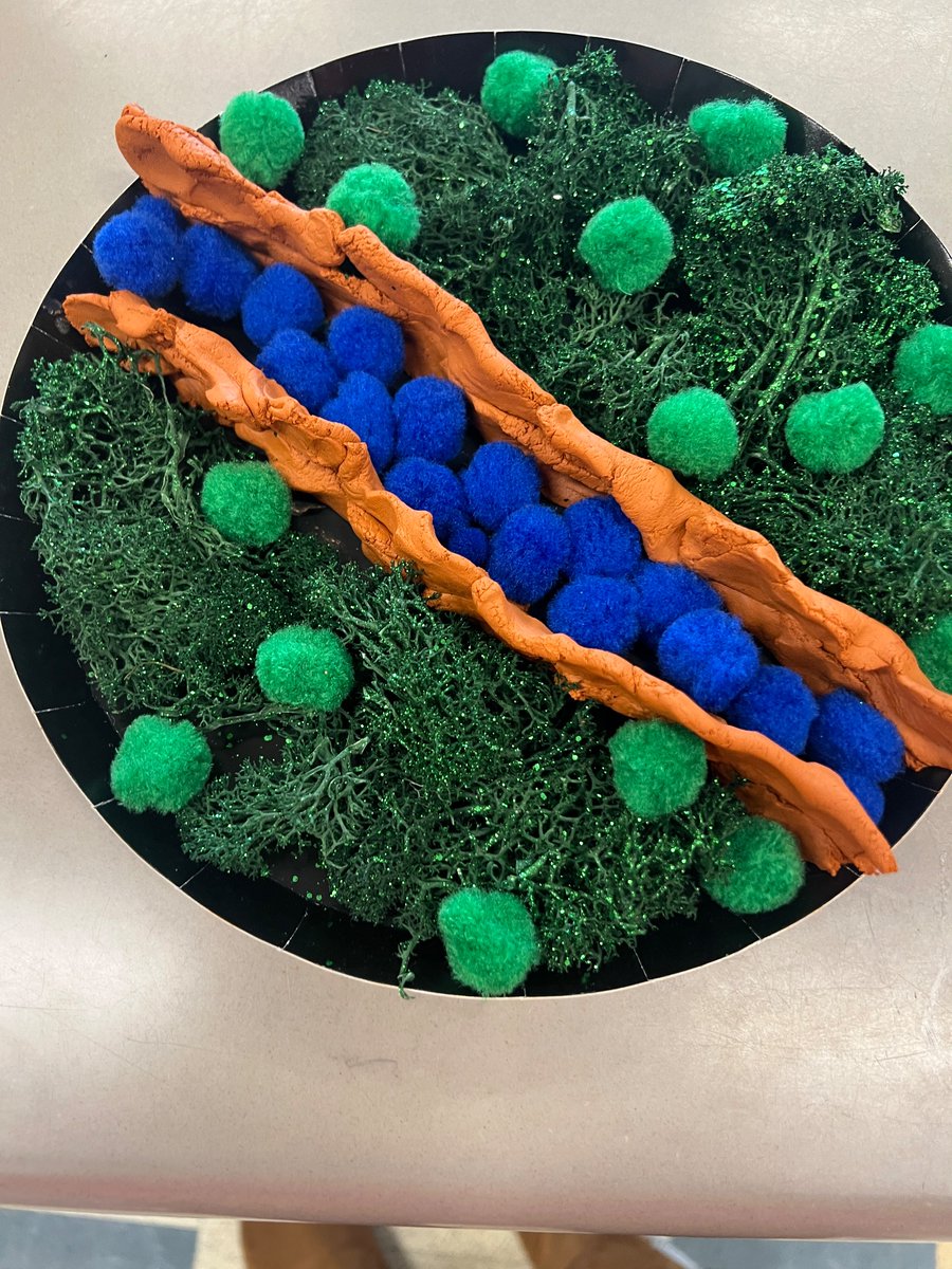 Fourth graders enjoyed making models of the Grand Canyon in the maker-space today! ⛰️