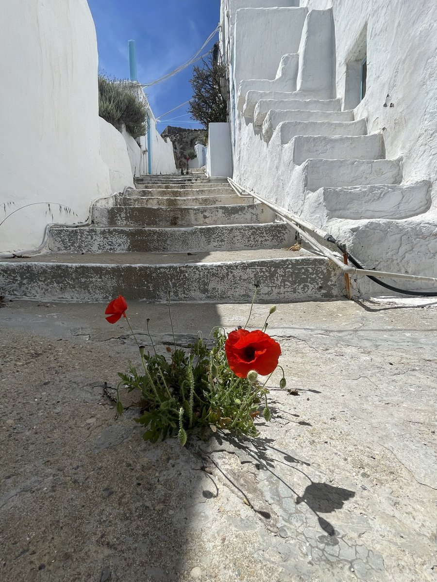 goavs925's tweet image. QP a pic that you'd be proud to frame!
#FrameItFriday