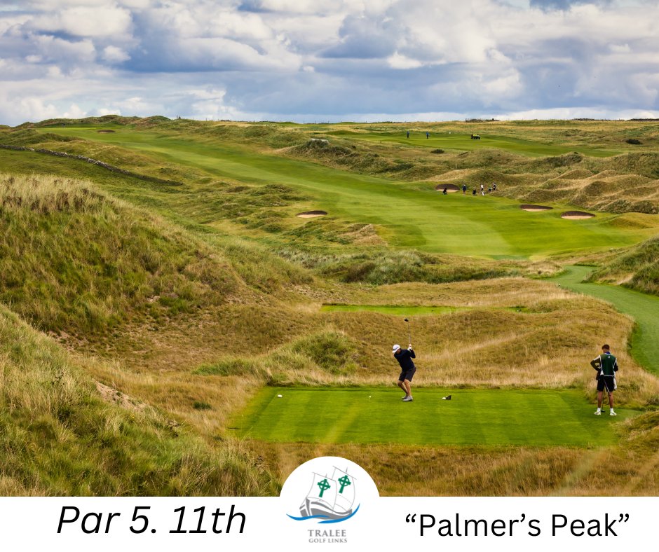 'Arnolds Peak' The beast of a par 5, No.11 so how are you approching this one ? 
#greatpar5s #linksgolf #linksgolfireland #golfireland #golfcourse #arnoldpalmer
traleegolflinks.com