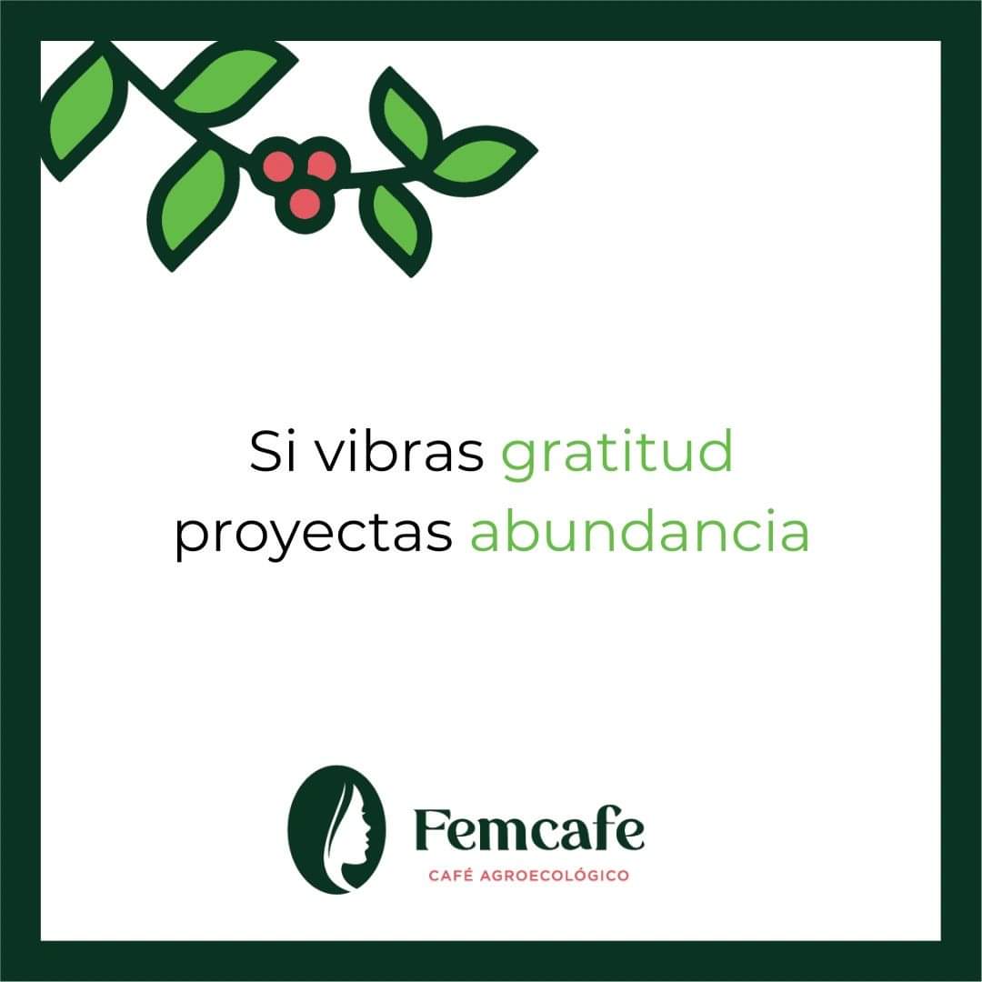 CafeFemcafe's tweet photo. Hoy agradecemos:
🌿Por una semana más
🌿Por los granos cosechados y transformados en deliciosas tazas
🌿Por nuestr@s clientes y distribuidor@s que son un canal para la expansión y la abundancia
🌿Por las manos campesinas

Felices tazas

Pedidos al 📞 https://t.co/hado8rm9gL https://t.co/ddmEwWxCon