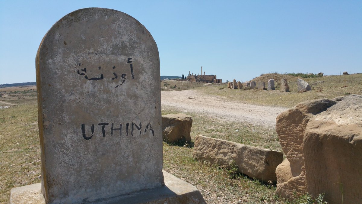 Discover TUNISIA SP tweet media