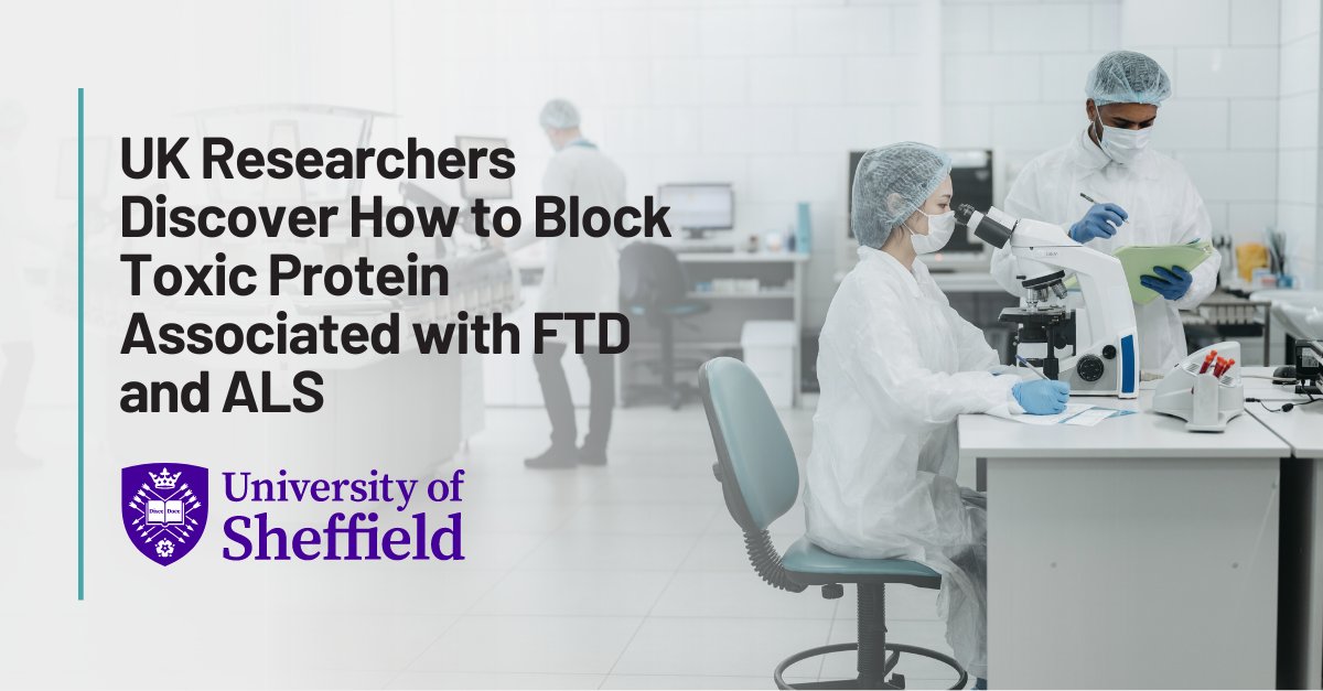 A study published earlier this year by researchers at @sheffielduni discovered that the production of toxic proteins associated with FTD caused by a C9orf72 gene mutation can be blocked at the cellular level.

Click the link to learn more: bit.ly/3Sre6e9