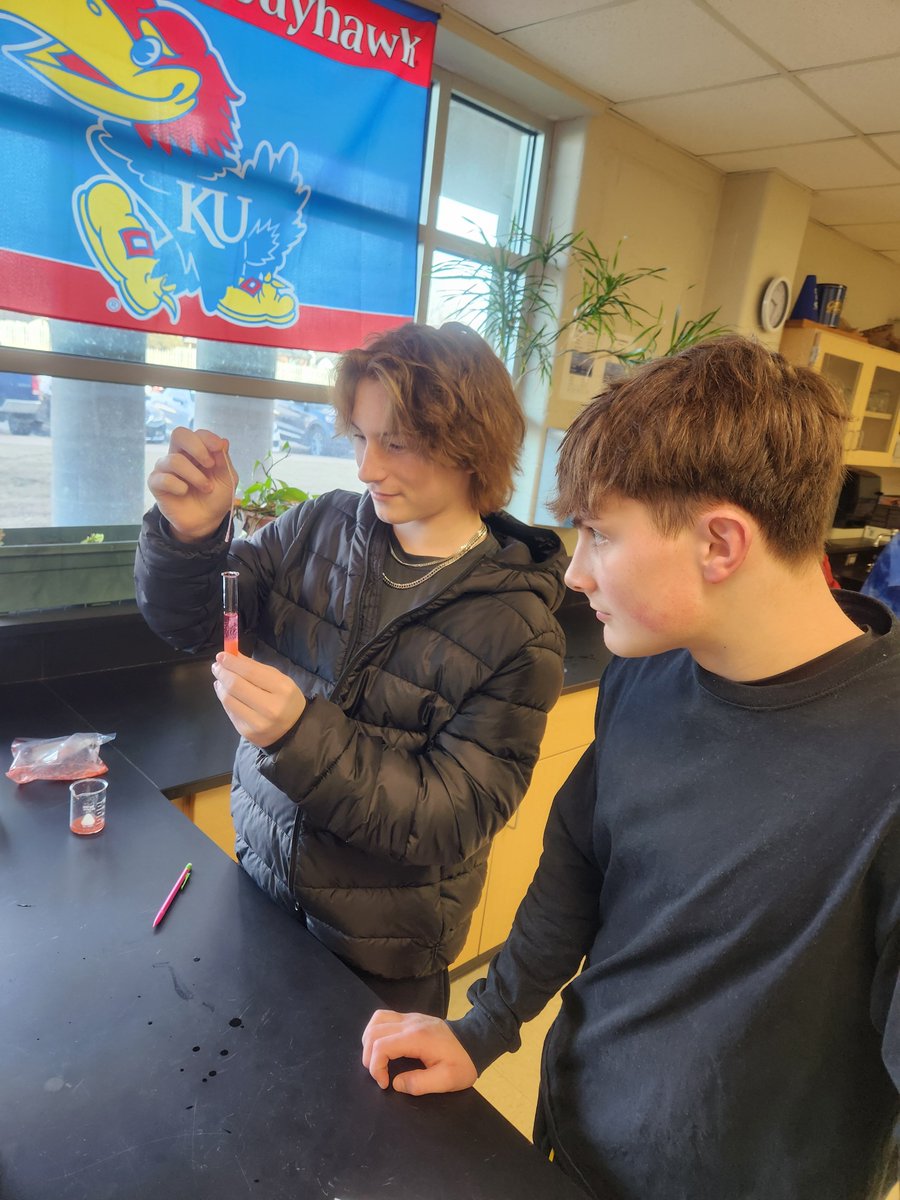RHSMounties's tweet photo. Mr. Pate's Pre AP Bio classes extracting DNA from Strawberries
#ThatisLIFE! #BiologyROCKS! https://t.co/ptuC7UrkC0