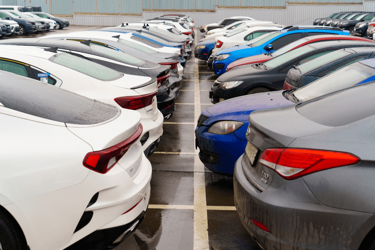 🤔🚗 Want to save big on vehicles? We at #Salvagebid have gathered a list of dependable #usedcars priced under $10,000. Check it out and place your bid to win one of the #cheapautos 👉: cutt.ly/9wCFTunO