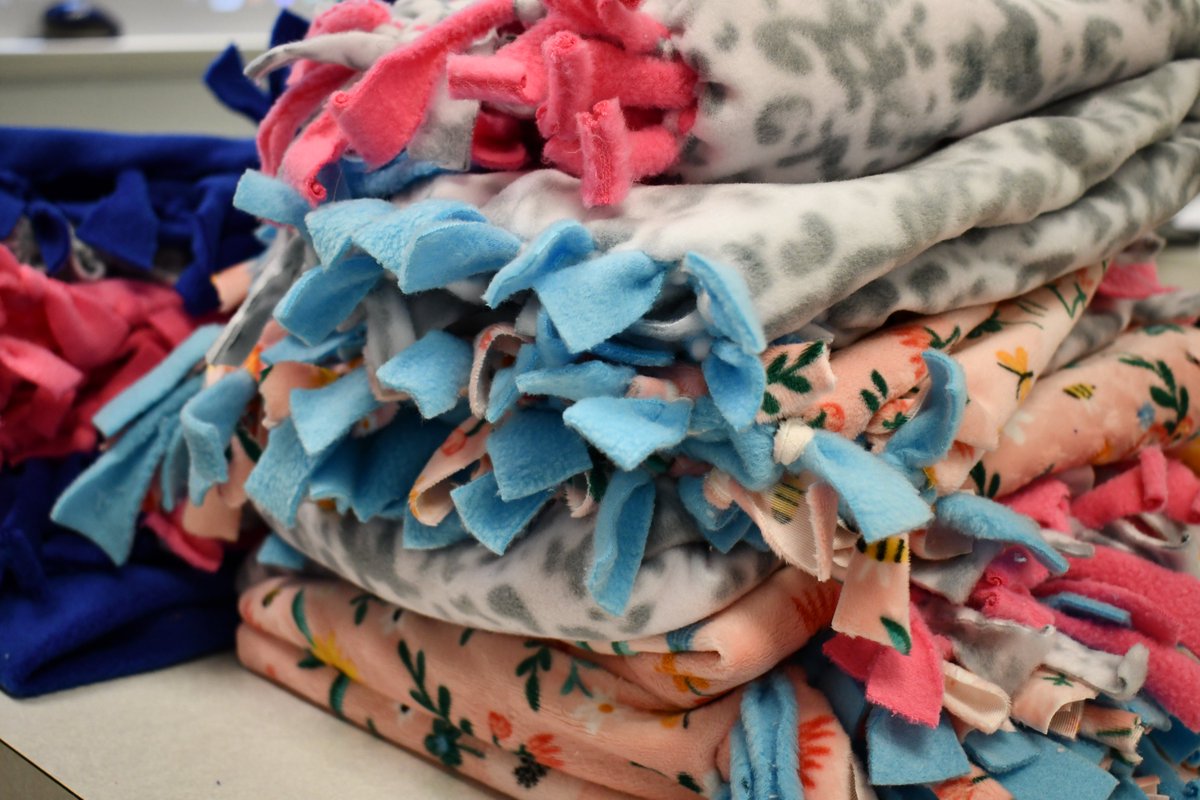 awgenerals's tweet photo. Agriculture, Food and Natural Resources students at @awlshs are making blankets &amp; pet toys for the animals at @ToledoHumane. 

This is project #41 in the District's #Fiftyfor50 initiative - a way to give back to the community.

See the other projects:
https://t.co/A04maBcUZv https://t.co/IrCVnhzhss