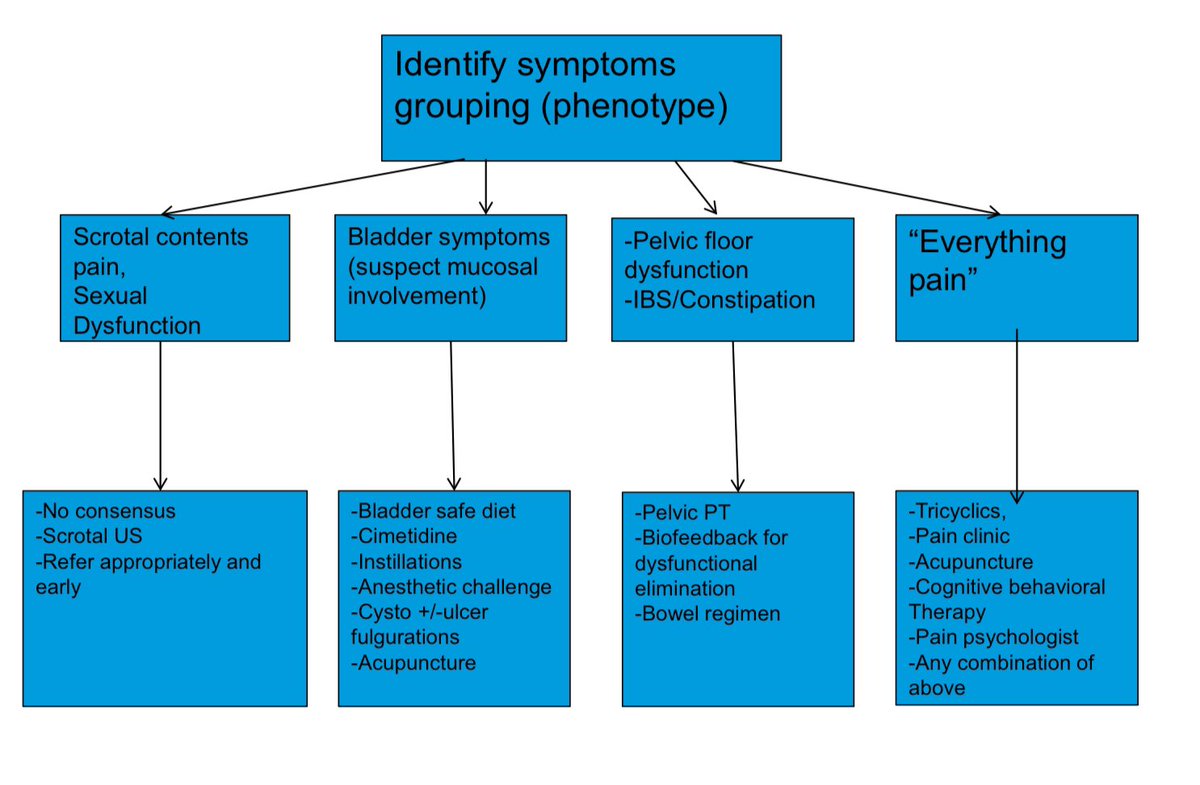 Chronic Pelvic Pain Syndrome / Chronic prostatitis: - Levator exam; referral for Pelvic PT if levator tenderness - 30% has IBS - Cystoscopy if elevated PVR, hematuria, LUTS, suspicion of Hunner’s lesions - Cognitive therapy / Psychiatric evaluation @MayoUrology #MayoUroHawaii24