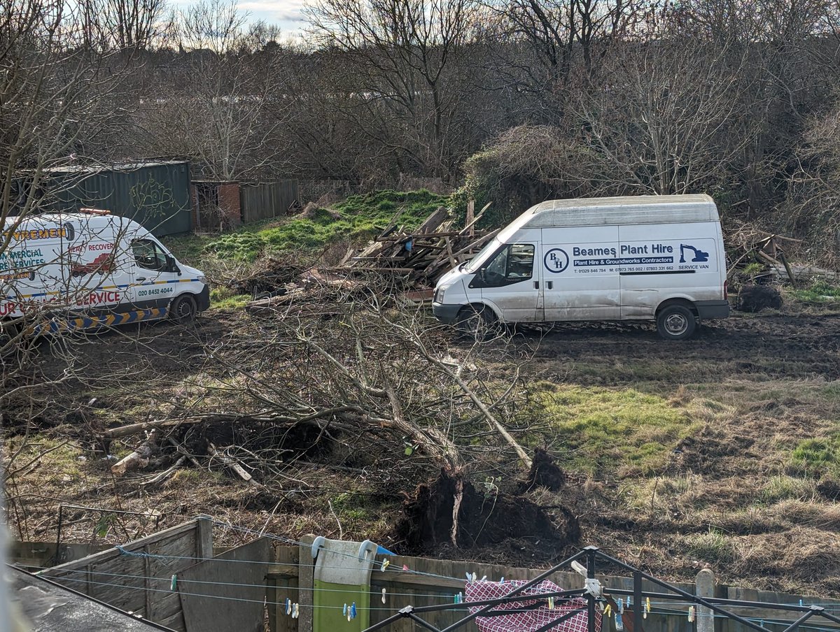 📢📢Calling #Lewisham Nature Lovers 📢📢 Save Grove Park’s Willow Tree Wetlands from developer assault Despite environmental protections, the retail park developer that owns the Willow Tree Wetlands is using heavy machinery to destroy trees and habitats. Happening right now.