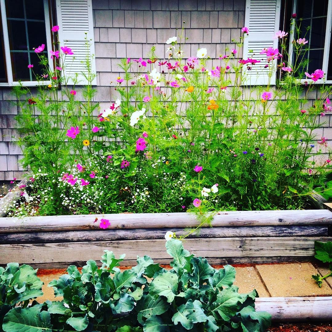 Jumbo Mail Marketing tweet media