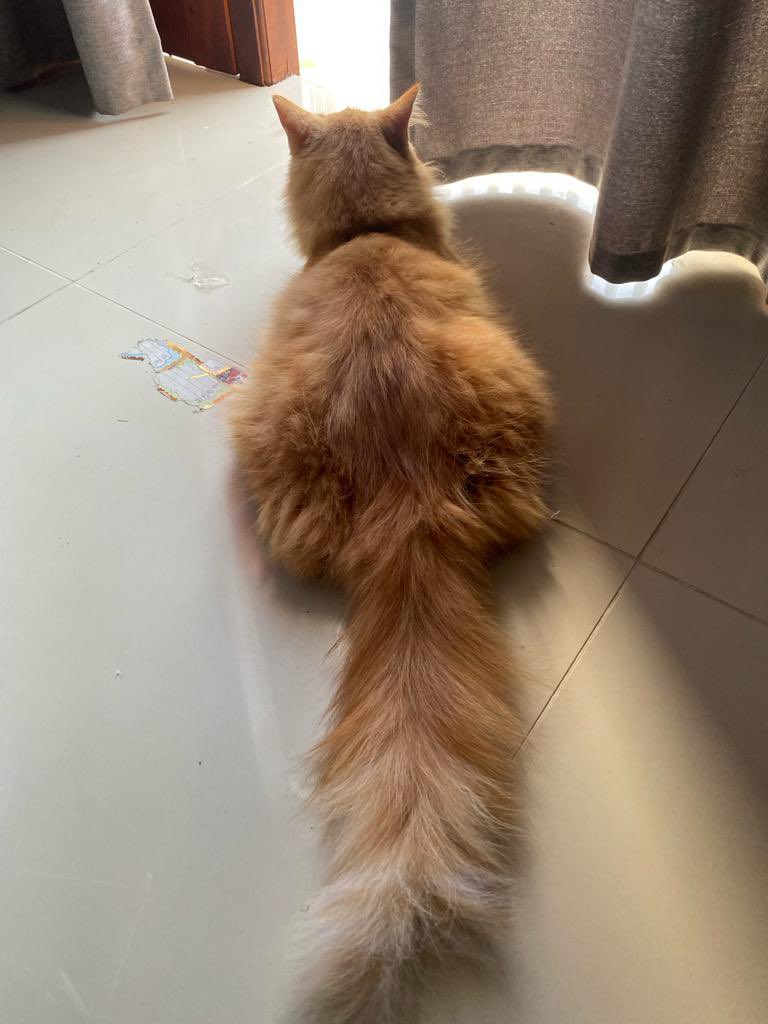 shareekahanan's tweet photo. My boy ♥️ https://t.co/VxJsEN5yUP