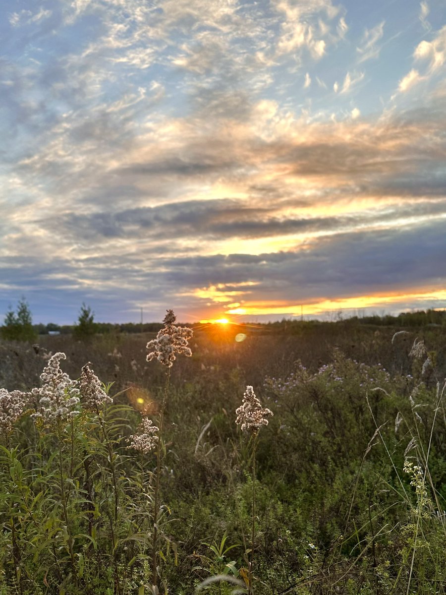 MandyLSimard's tweet image. Post a pic that you’d be proud to frame!

#FrameItFriday