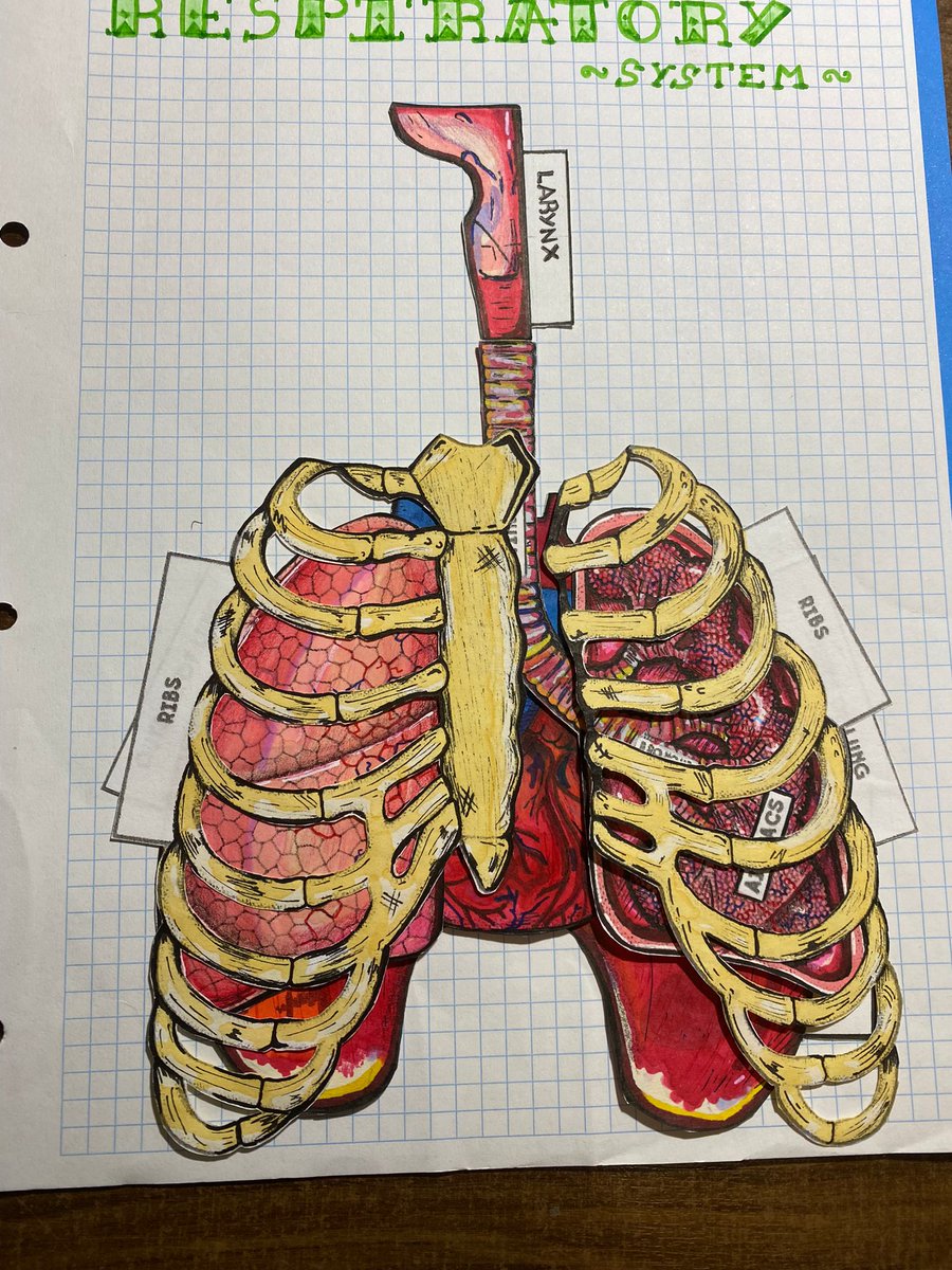 Luis Pedro G.ª San Segundo tweet media