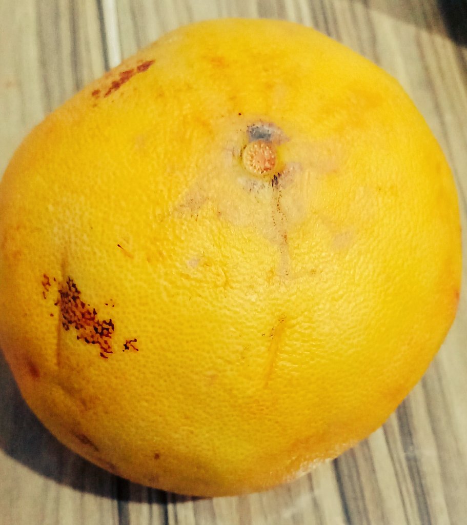 Emocn8's tweet photo. Kasiyer cahil herhalde kavuna pomelo diyip beni kandıracak yer mi Anadolu çocuğu. https://t.co/R7nX4hvaBe