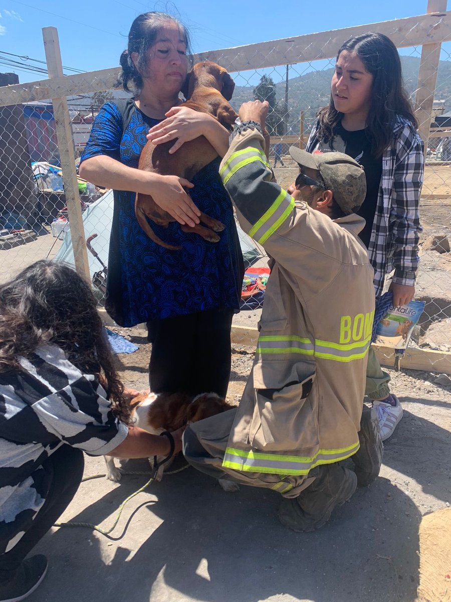 Nuestro personal se desempeña en diferentes actividades, lo que nos permite agregar valor al servicio al tener una formación y experiencia que complementa nuestro rol de Bomberos. 
Uno de los voluntarios de la Cía. es veterinario y se encuentra colaborando en las zonas afectadas.
