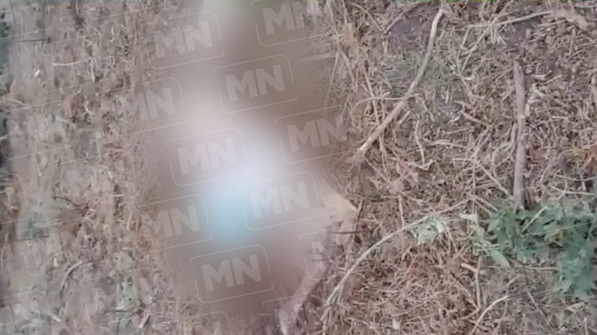 MeganoticiasTEH's tweet photo. 🚨Denuncian nuevo caso de maltrato animal en San Bartolo #Teontepec, perteneciente a #Tepanco de López, abandonaron en un predio una borrego muerto con veneno, perritos se aceraron y con solo olfatear murieron casi inmediatamente🤬
#MEGAnoticias #Tehuacán 📲💻🖥 https://t.co/e0iXl5wPTh