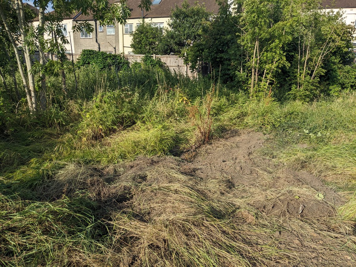 Ben Donaldson (@benaldson) on Twitter photo <a href="/ringwaygardens/">@RingwayGardens</a> <a href="/GroveParkSE12/">GroveParkCommGroup</a> <a href="/CllrCurran/">Cllr Liam Curran</a> <a href="/Cllr_S_Clarke/">Councillor Suzannah Clarke</a> <a href="/Brenda_Dacres/">Brenda Dacres OBE</a> <a href="/lewishamledger/">THE LEWISHAM LEDGER</a> @LewishamLowdown <a href="/XRLewisham/">Extinction Rebellion Lewisham</a> <a href="/XRLondon/">Extinction Rebellion London 🌍</a> <a href="/Annareporting/">Anna O'Neill</a> <a href="/NewsShopper/">News Shopper</a> <a href="/ActionLewisham/">Climate Action Lewisham</a> Demand that Lewisham Council halts this assault on nature:
Write to the acting Mayor Brenda Dacres (brenda.dacres@lewisam.gov.uk)
cc info@grovepark.org.uk, the amazing Grove Park Community Group working to protect the local environment
Follow <a href="/ringwaygardens/">@RingwayGardens</a> for more info <a href="/ringwaygardens/">@RingwayGardens</a> <a href="/GroveParkSE12/">GroveParkCommGroup</a> <a href="/CllrCurran/">Cllr Liam Curran</a> <a href="/Cllr_S_Clarke/">Councillor Suzannah Clarke</a> <a href="/Brenda_Dacres/">Brenda Dacres OBE</a> <a href="/lewishamledger/">THE LEWISHAM LEDGER</a> @LewishamLowdown <a href="/XRLewisham/">Extinction Rebellion Lewisham</a> <a href="/XRLondon/">Extinction Rebellion London 🌍</a> <a href="/Annareporting/">Anna O'Neill</a> <a href="/NewsShopper/">News Shopper</a> <a href="/ActionLewisham/">Climate Action Lewisham</a> Demand that Lewisham Council halts this assault on nature:
Write to the acting Mayor Brenda Dacres (brenda.dacres@lewisam.gov.uk)
cc info@grovepark.org.uk, the amazing Grove Park Community Group working to protect the local environment
Follow <a href="/ringwaygardens/">@RingwayGardens</a> for more info