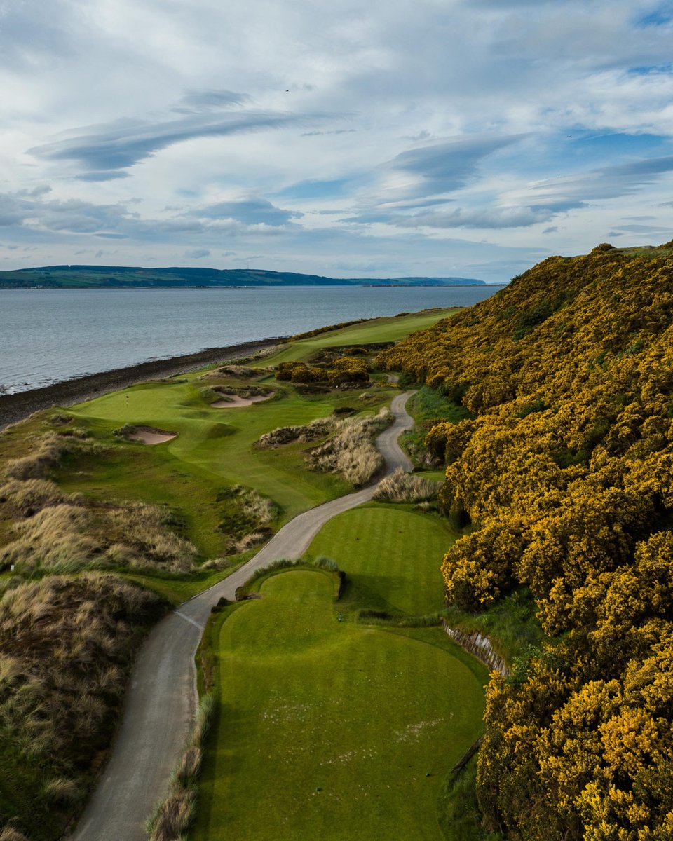 Cabot Highlands tweet media