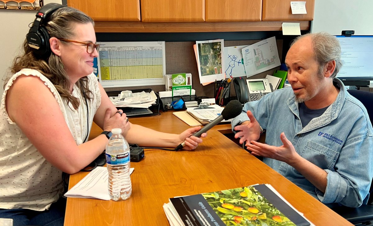 Jane Lindholm with But Why?—a podcast for curious kids—is at SWFREC today interviewing citrus horticulturist Dr. Fernando Alferez! He’s answering questions about citrus submitted to the podcast by kids from all over the world. Stay tuned: the final segment will be posted here!