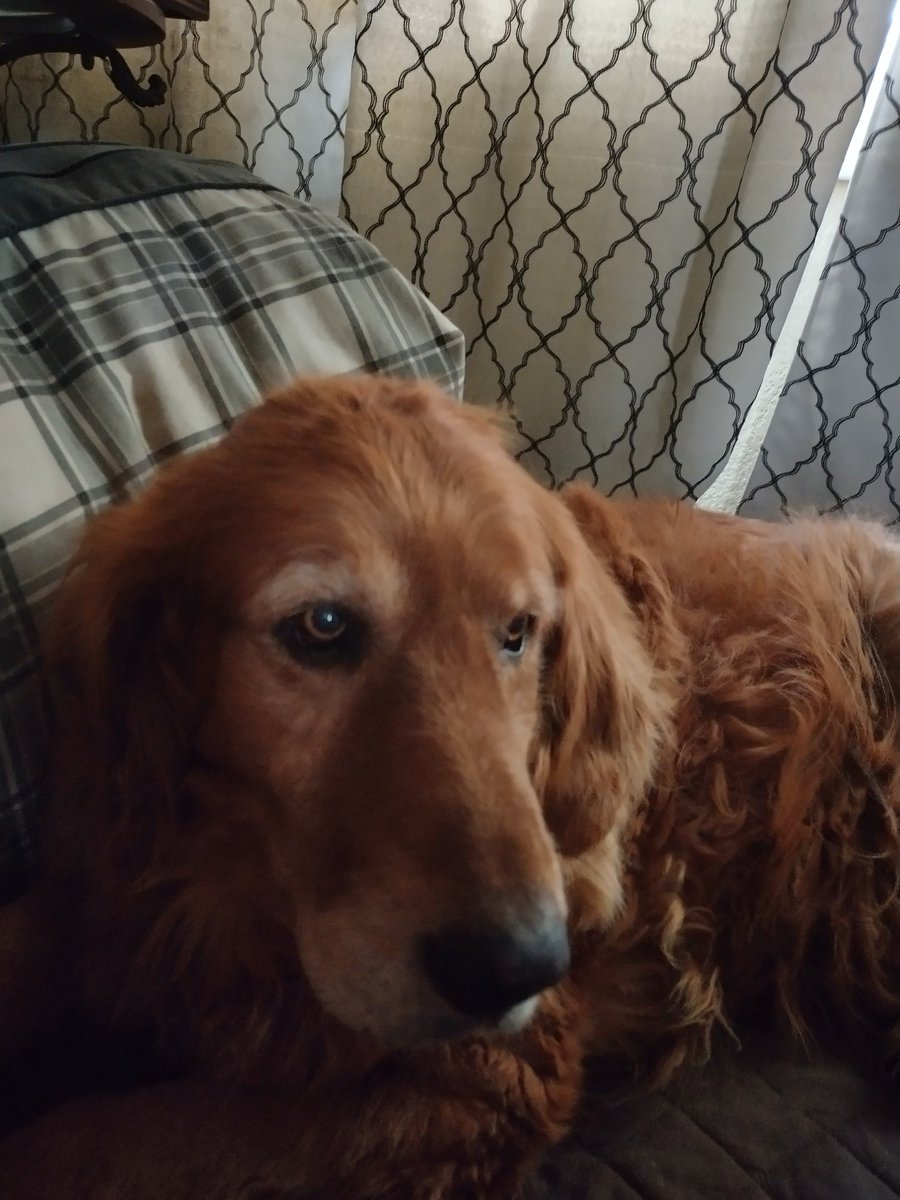 TamiRickhoff's tweet image. SOOOOO HAPPY to hear CLAY&amp;amp;Buck speaking TRUTH....COME BACK PRESIDENT TRUMP. We(&amp;amp;the World) need You&amp;amp; Melania