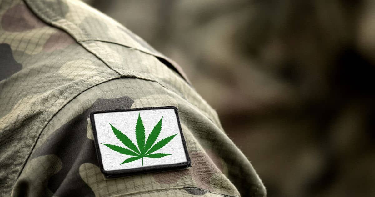 clearESG1's tweet photo. New Study On Veterans Shows Majority Support For Marijuana Legalization https://t.co/f5ARRFJ1us @CG4Veterans @BeardBrosPharms 

@efixii @thingblu1 https://t.co/mSrjIgr7pe