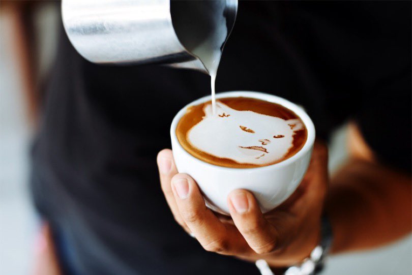 PUSSYFinancial's tweet photo. GM web3!

Need a cup? https://t.co/vAEh8vi0Xf