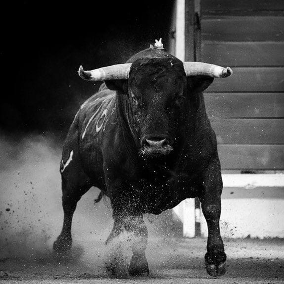 En México durante 2023 se lidiaron 1764 toros y 534 novillos; entiéndase que, contemplando indultos,se sacrificaron menos de 2298 reses bravas en plaza. 
En ese mismo año, se asesinaron 30523 personas,entiéndase que es por mucho mejor ser toro de lidia que ciudadano de este pais