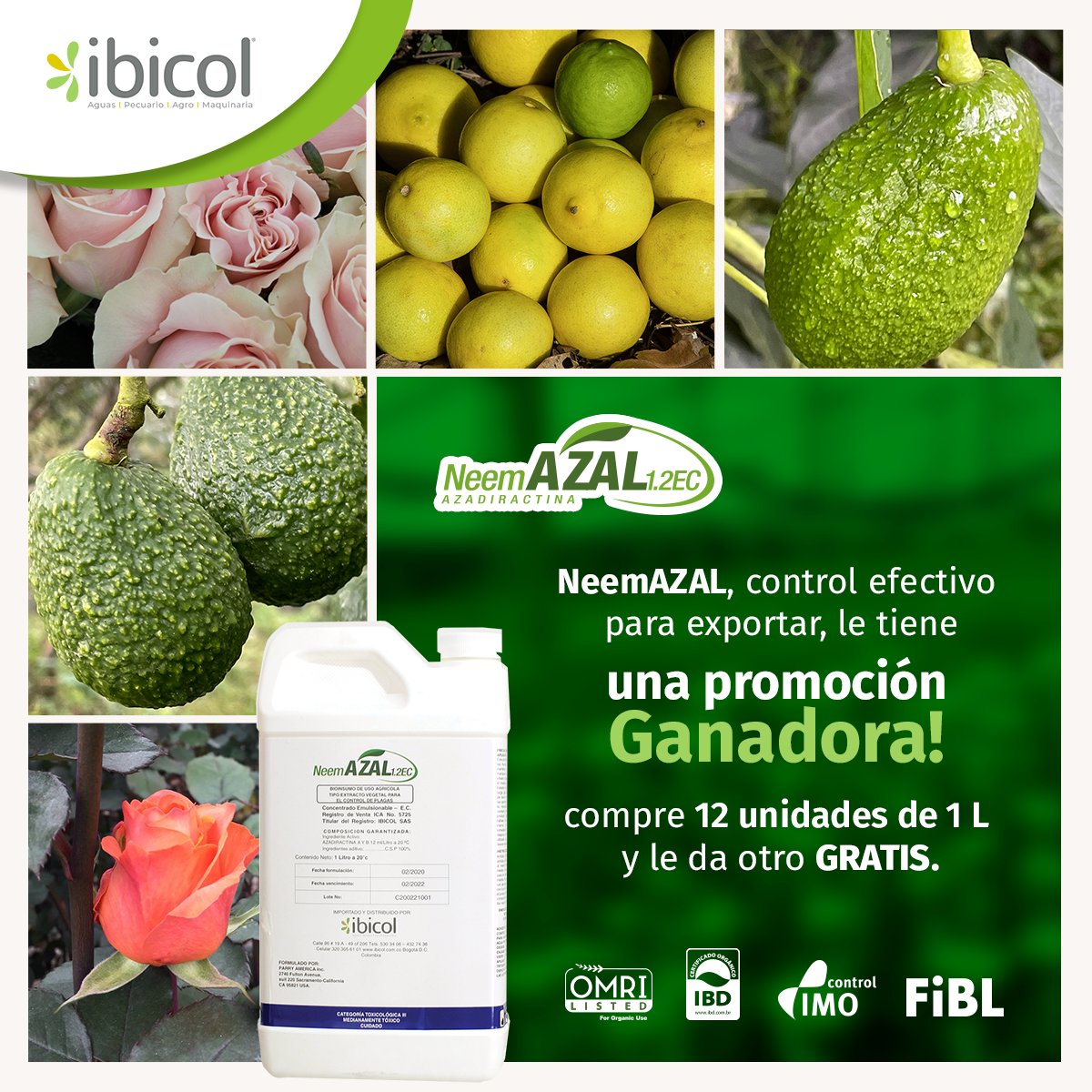 insumosibicol's tweet photo. NeemAZAL, además de ser el insecticida, acaricida y nematicida botánico que le ayuda a controlar las plagas en variedad de cultivos, le tiene ahora esta súper promoción por tiempo limitado.
Escríbanos al 📲 Wsap Business +57 310 2099367
#Ibicol #neemazal #promocion https://t.co/5LLlE4D3oR